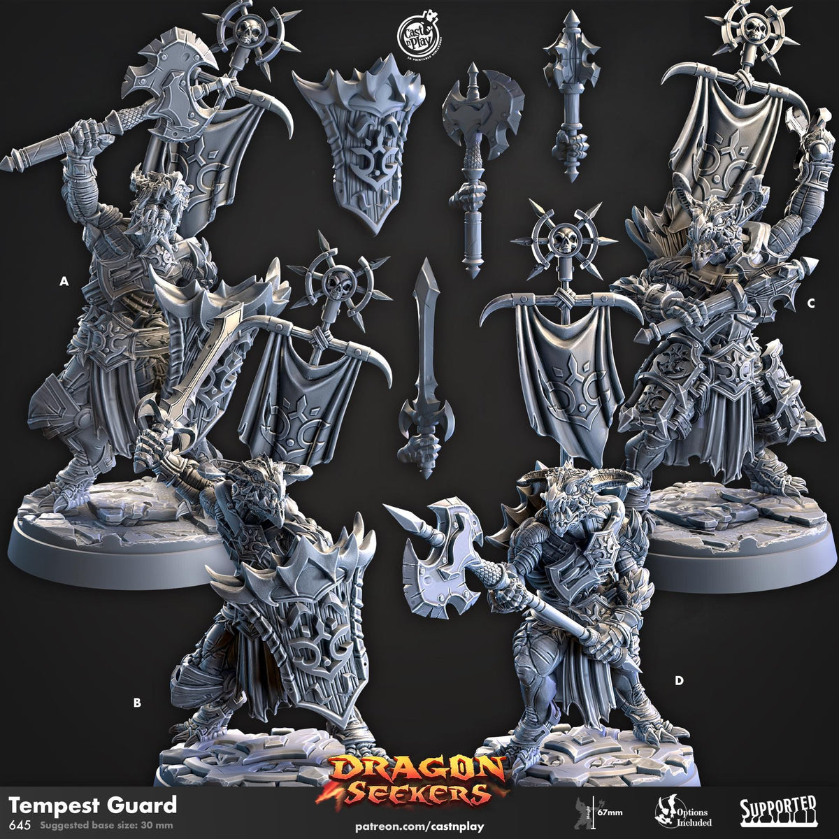 Dragonborn Paladin Miniature - resin tabletop miniature front view