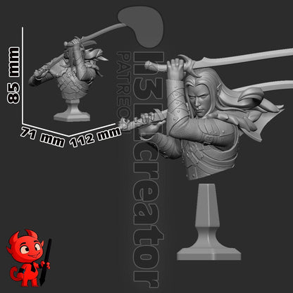 Drizzt Do'Urden Bust - paintable tabletop miniature product view