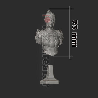 Shadowheart Bust - Baldur's Gate 3 - paintable tabletop miniature product view