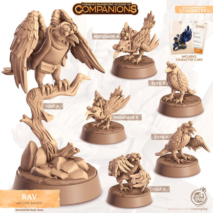 Raven Bird Animal Companion Miniature - resin tabletop miniature front view