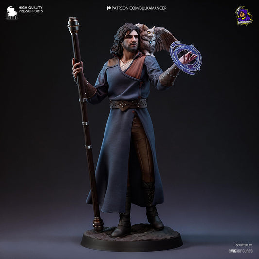 Gale Figure - Baldur's Gate 3 - resin tabletop miniature alternate angle