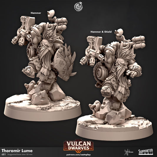 Dwarf Paladin, Fighter & Barbarian Miniature - resin tabletop miniature front view