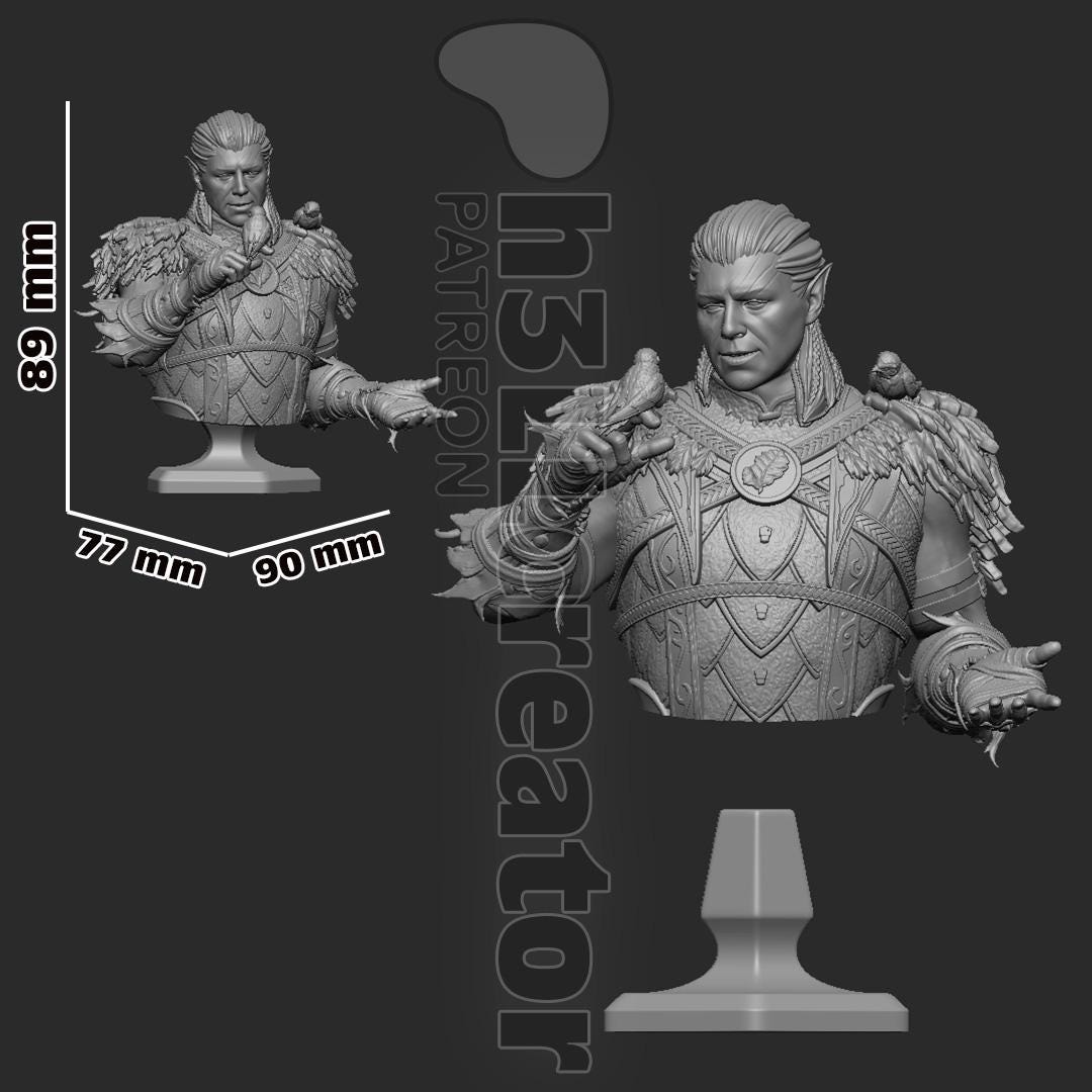 Halsin Bust - Baldur's Gate 3 - paintable tabletop miniature product view