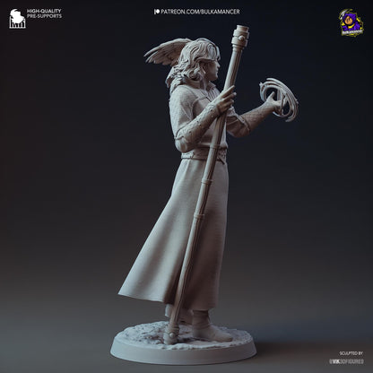 Gale Figure - Baldur's Gate 3 - resin tabletop miniature alternate angle