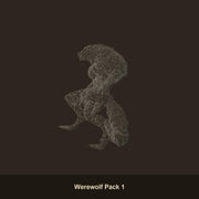 Werewolf Pack Fantasy Miniatures - resin tabletop miniature front view